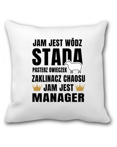 Poduszka dla managera (wódz stada) - mitzu.pl