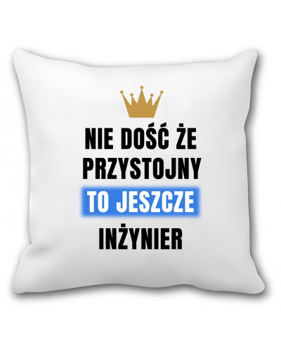 Poduszka dla inżyniera (przystojny) - mitzu.pl