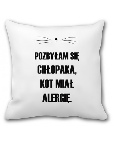 Poduszka dla kociary (kot miał alergię) - mitzu.pl