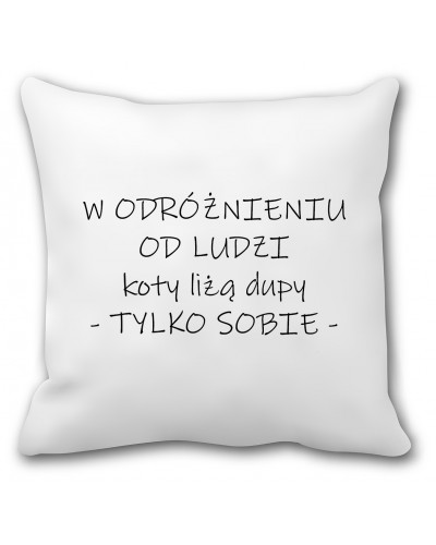 Poduszka dla kociary (tylko sobie) - mitzu.pl
